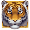 big bad beasts tiger symbol