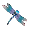 big bass bonanza 1000 dragonfly symbol