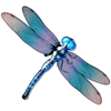 big bass bonanza oranje jackpot dragonfly symbol