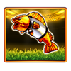 big bass football bonanza gold fish symbol