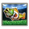 big bass football bonanza xl fish symbol