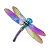big bass reel repeat dragonfly symbol
