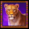 big cat links lioness symbol