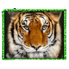 big cats tiger symbol