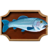 big fisherman deluxe fish 5 symbol