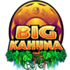 big kahuna wild symbol