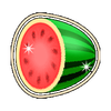 big max books unlimited melon symbol