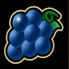 big max multi reel grapes symbol