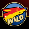 big max multi reel wild symbol