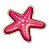 bigger cash and crab starfish symbol