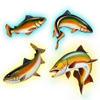 bigger size fishin symbol 5