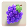 bill and coin grapes symbol