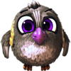 birds 12