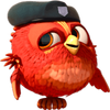 birds 2