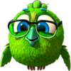birds 5