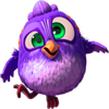 birds 6