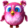 birds 7