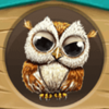 birds nest owl symbol