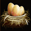 birds nest scatter symbol