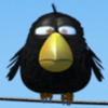 birdz black bird symbol