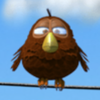 birdz brown bird symbol