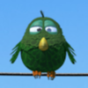 birdz green bird symbol
