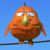 birdz orange bird symbol