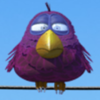 birdz purple bird symbol