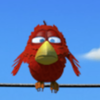 birdz red bird symbol