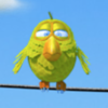 birdz yellow bird symbol