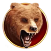 bison boom bear symbol