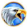 bison boom eagle symbol