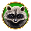 bison boom raccon symbol