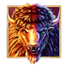 bison boom wild symbol