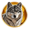 bison boom wolf symbol