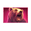 bison fortune coins bear symbol