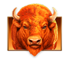 bison fortune coins bison symbol