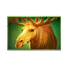 bison fortune coins moose symbol