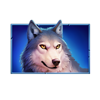 bison fortune coins wolf symbol