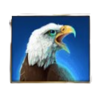 bison moon megaways eagle symbol