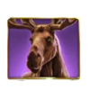 bison moon megaways elk symbol