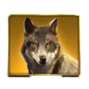 bison moon megaways wolf symbol