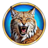 bison moon power combo cat symbol