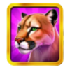 bison ridge power combo cougar symbol