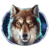 bison rising gold strike symbol 4