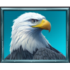 bisonado prizematch eagle symbol