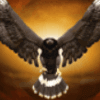 black hawk black hawk symbol