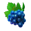 blasting rubies grapes symbol