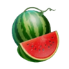 blasting rubies watermelon symbol