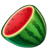 blazin bonus watermelon symbol